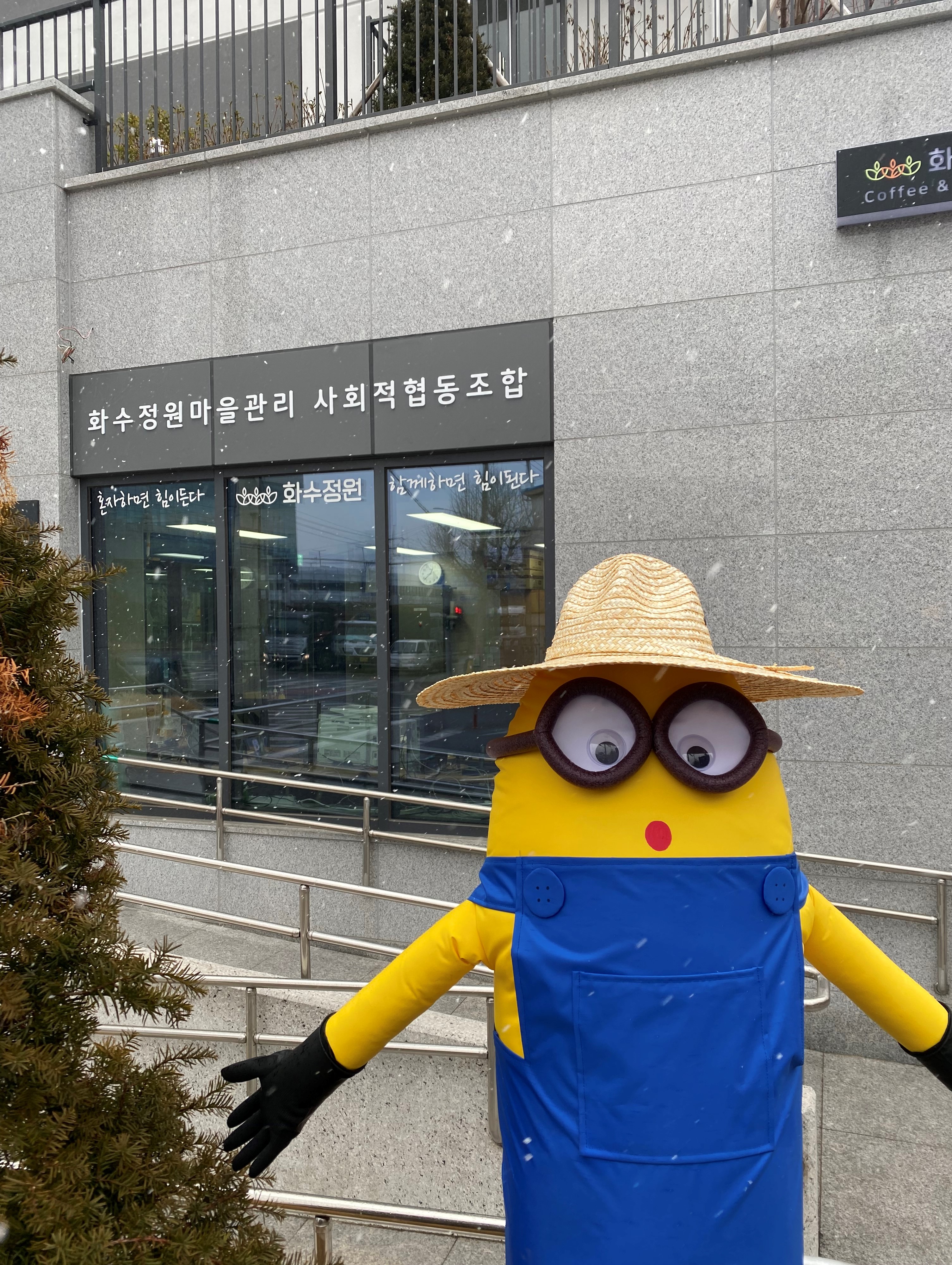화수아비1.JPG 이미지
