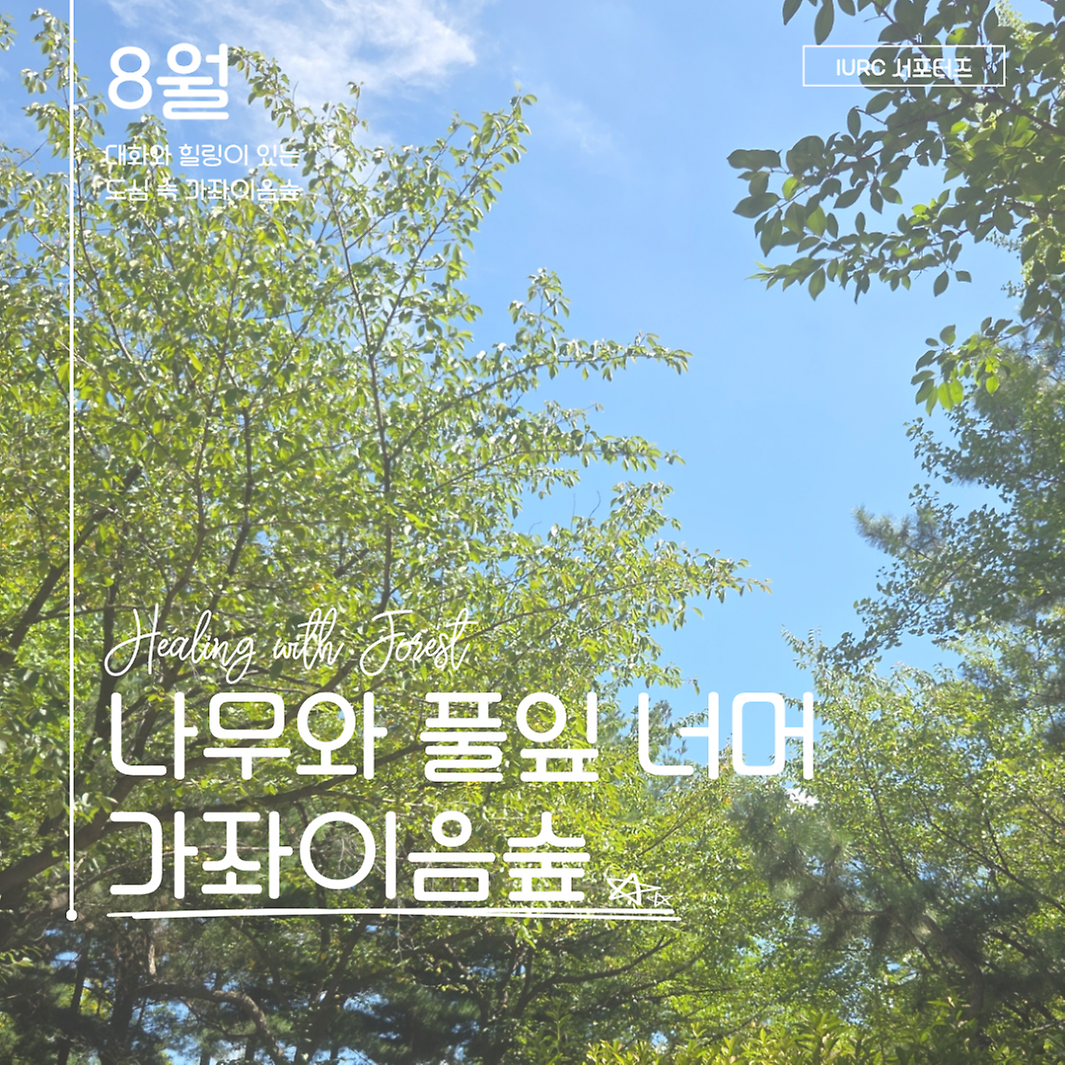 2-1.png 이미지